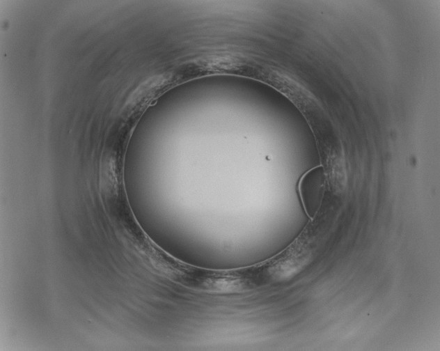 X0000073450506200608041031