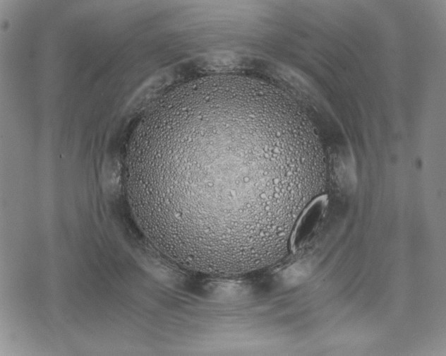 X0000073450507200608041031