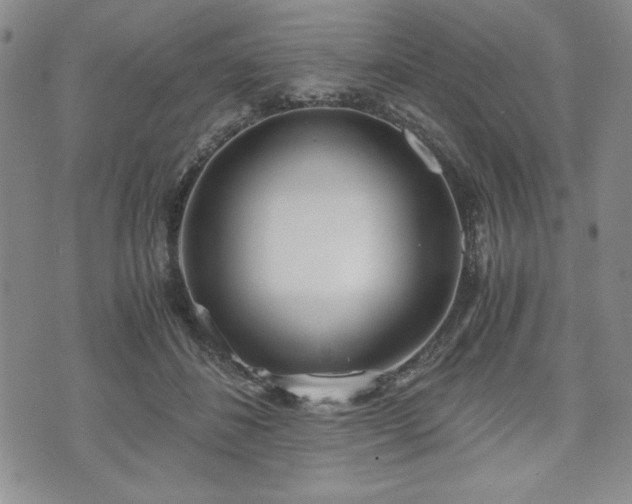 X0000073450508200608041031