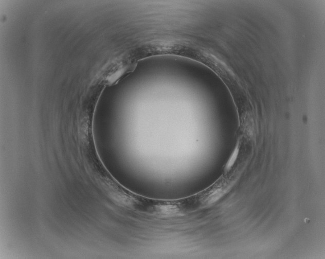 X0000073450509200608041031