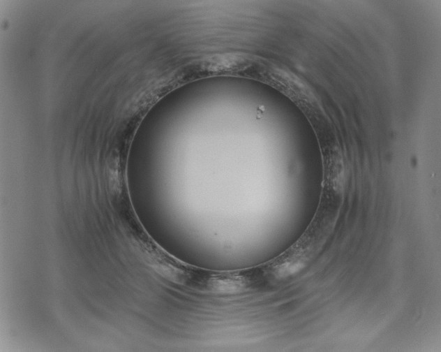 X0000073450510200608041031