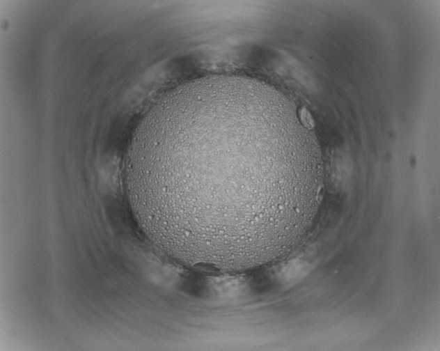 X0000073450511200608041031