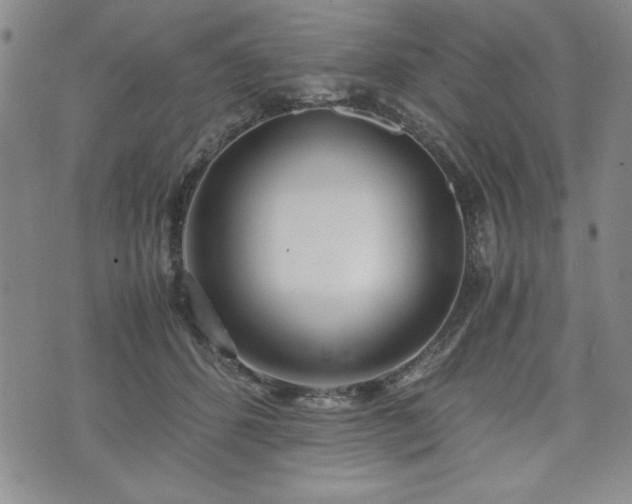 X0000073450512200608041031