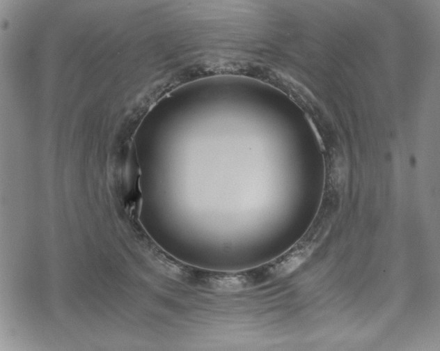 X0000073450513200608041031