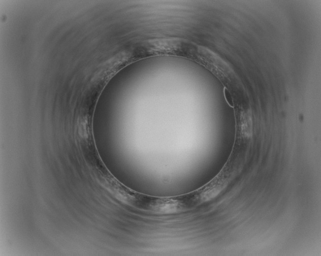 X0000073450514200608041031