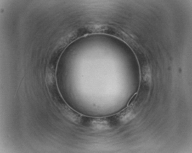 X0000073450515200608041031