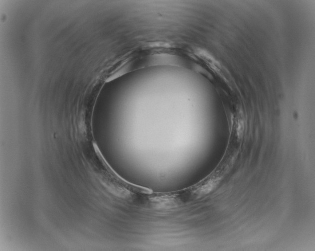 X0000073450516200608041031