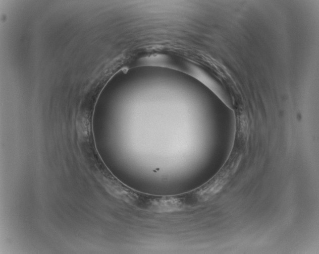 X0000073450517200608041031