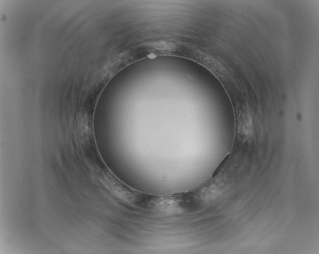 X0000073450518200608041031