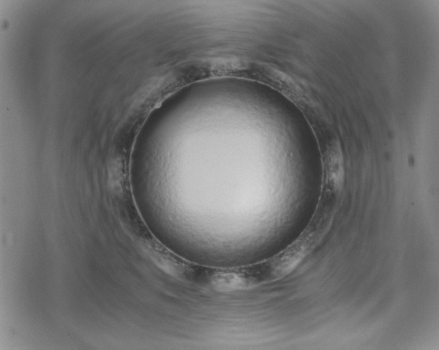 X0000073450519200608041031