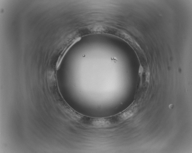 X0000073450521200608041031