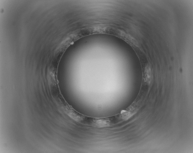 X0000073450522200608041031