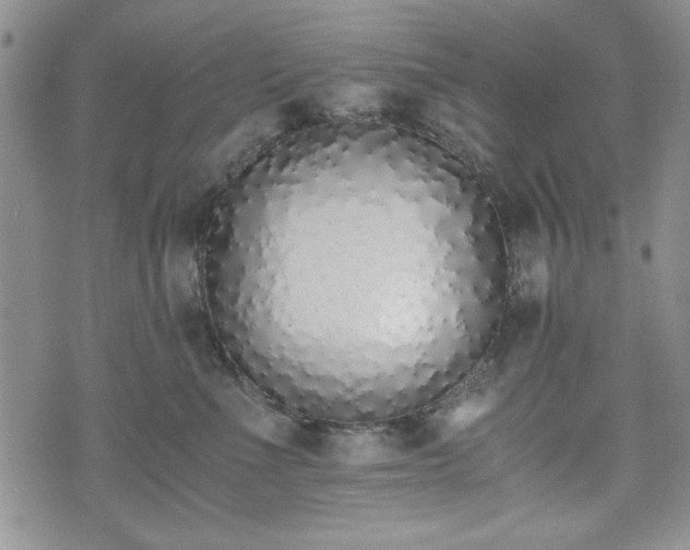 X0000073450523200608041031