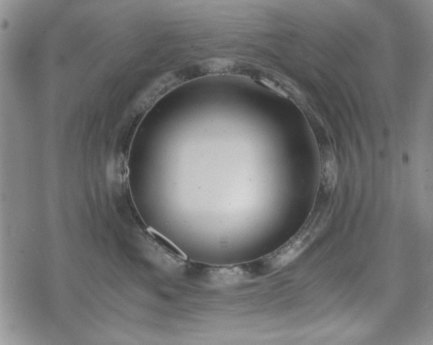 X0000073450525200608041031