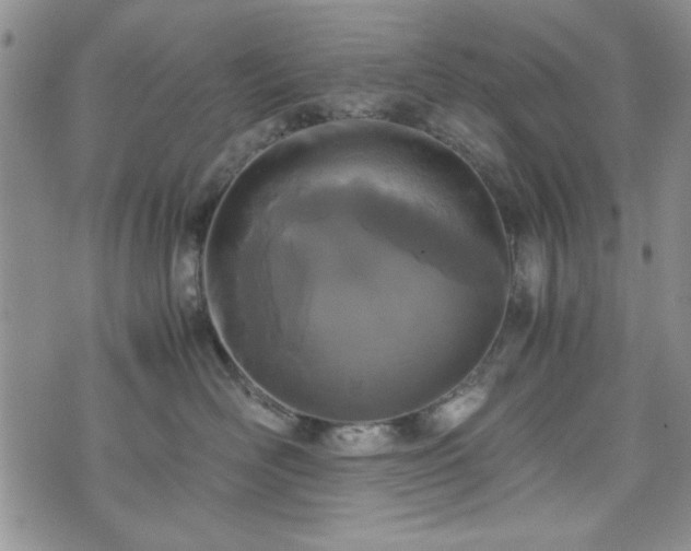 X0000073450526200608041031