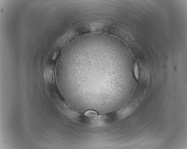 X0000073450527200608041031