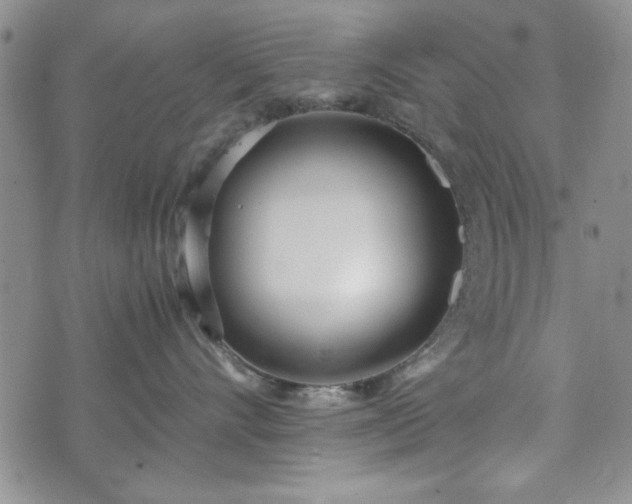 X0000073450528200608041031