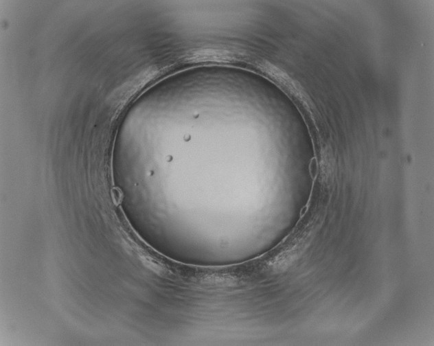 X0000073450529200608041030