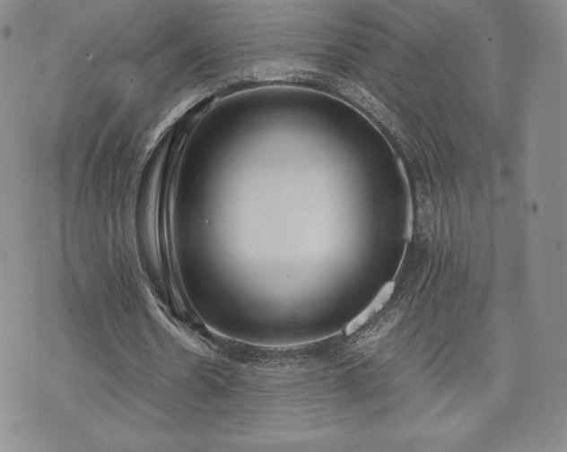 X0000073450530200608041030