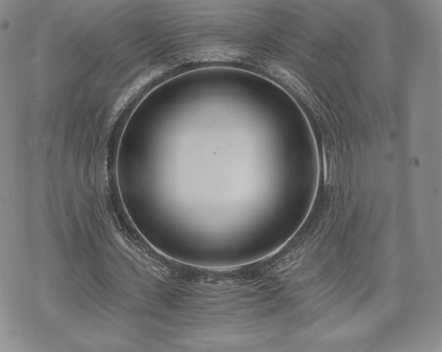 X0000073450531200608041030