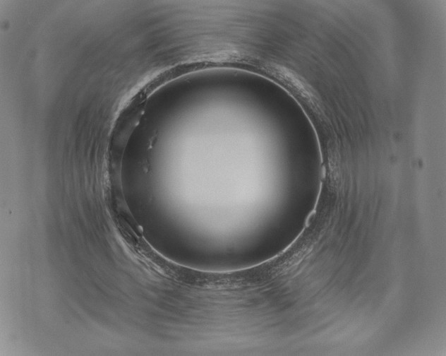 X0000073450532200608041030