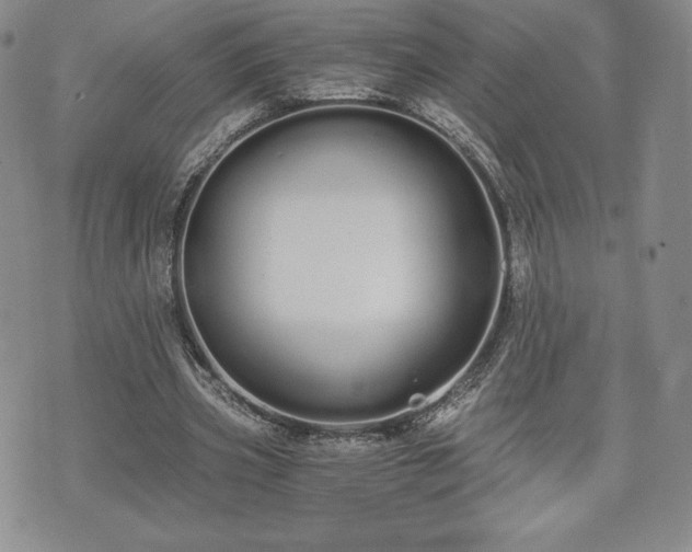 X0000073450533200608041030