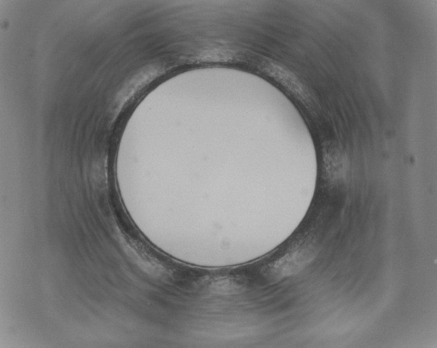 X0000073450534200608041030