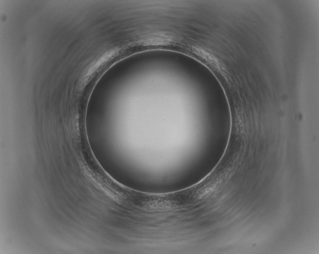 X0000073450535200608041030