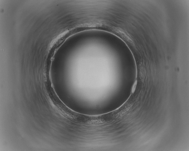 X0000073450536200608041030