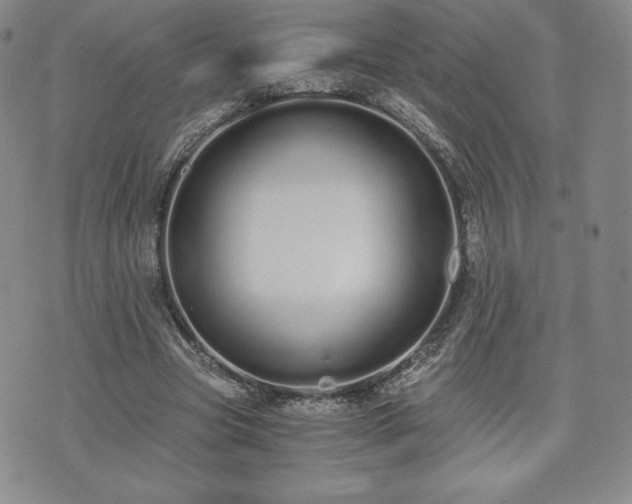 X0000073450537200608041030