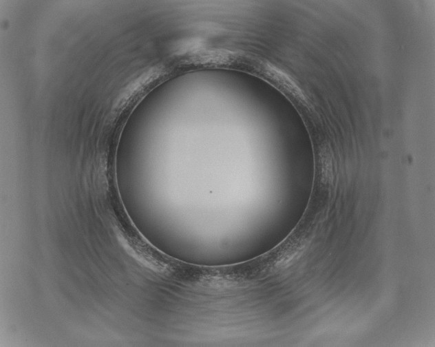 X0000073450538200608041030