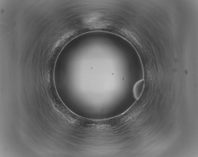 X0000073450539200608041030