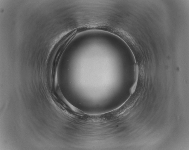 X0000073450540200608041030