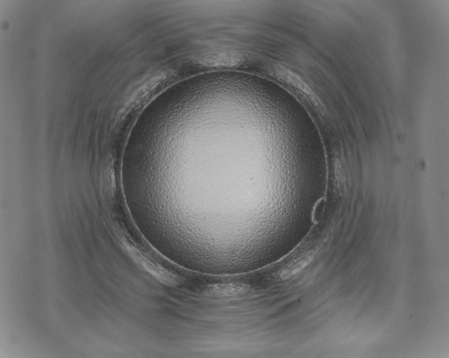 X0000073450541200608041030