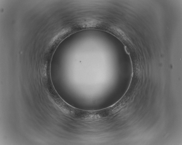 X0000073450543200608041030