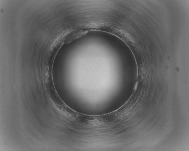 X0000073450544200608041030