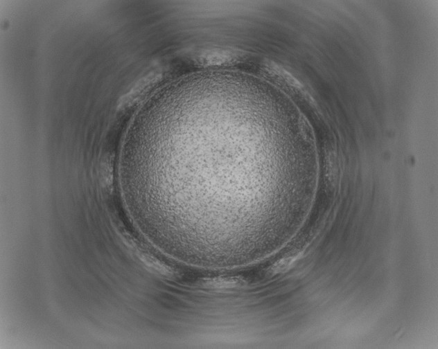 X0000073450545200608041030