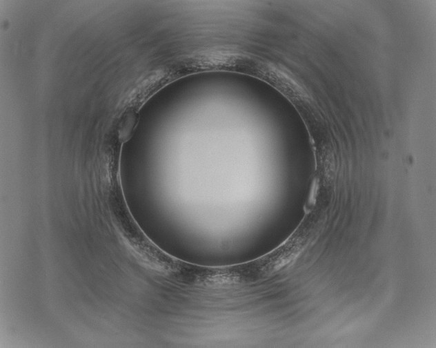 X0000073450546200608041030