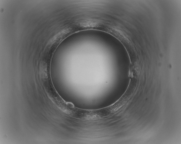 X0000073450547200608041030