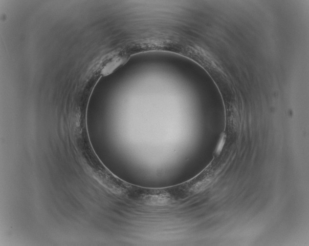 X0000073450548200608041030