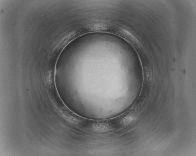 X0000073450549200608041030