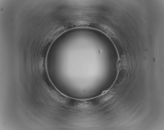 X0000073450550200608041030