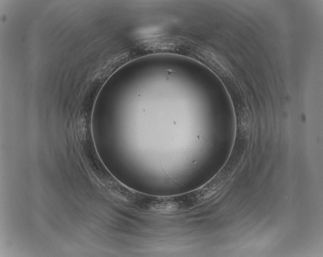 X0000073450551200608041030