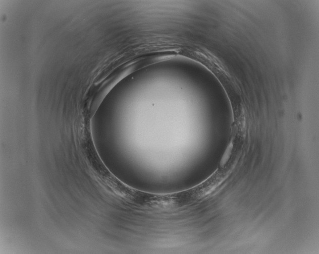 X0000073450552200608041030