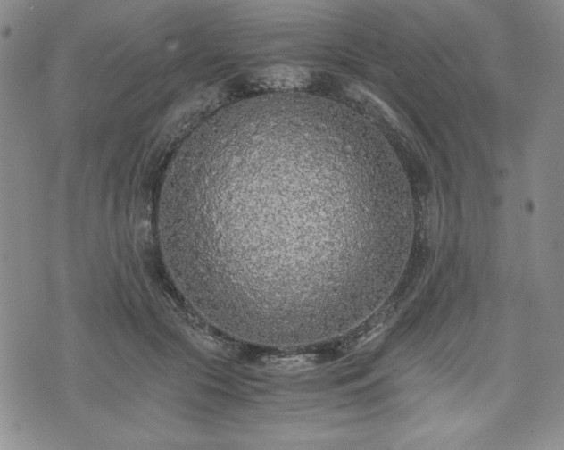 X0000073450553200608041030