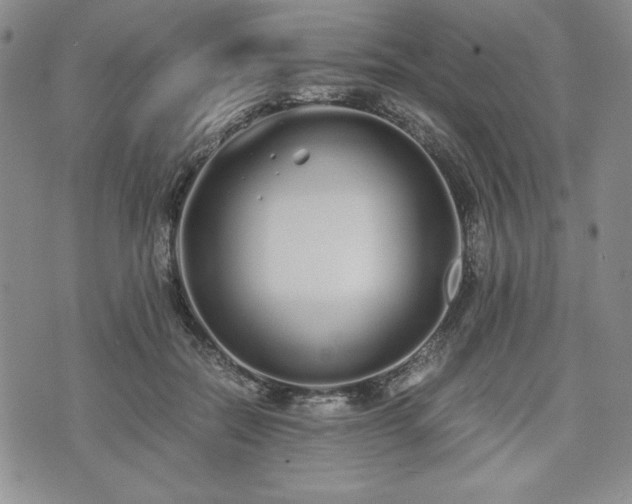 X0000073450554200608041030