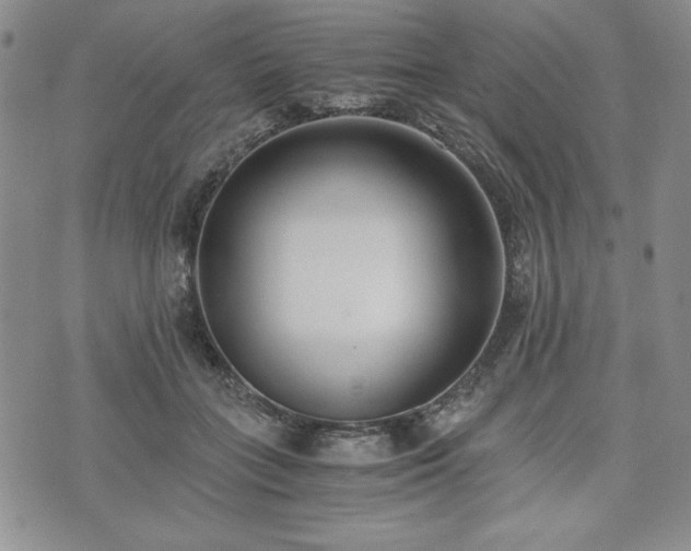 X0000073450555200608041030