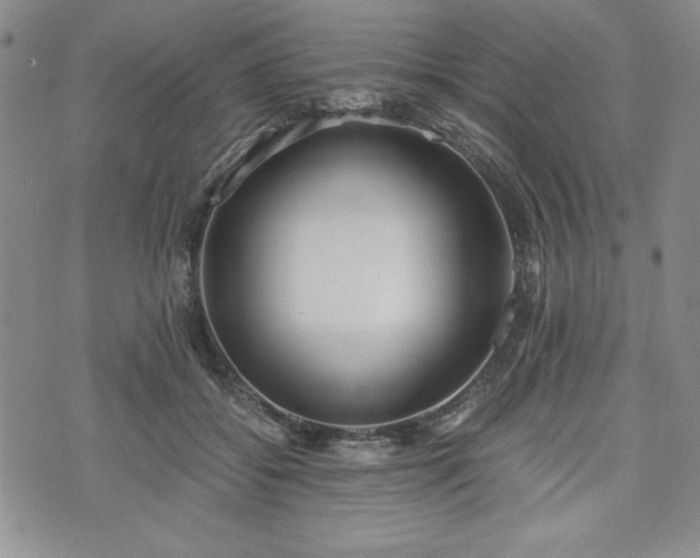 X0000073450556200608041030