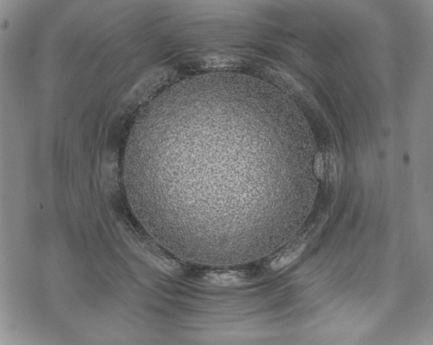 X0000073450557200608041030