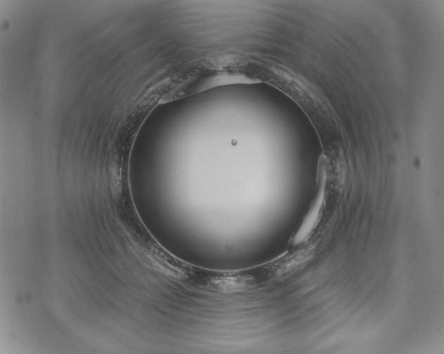 X0000073450558200608041030